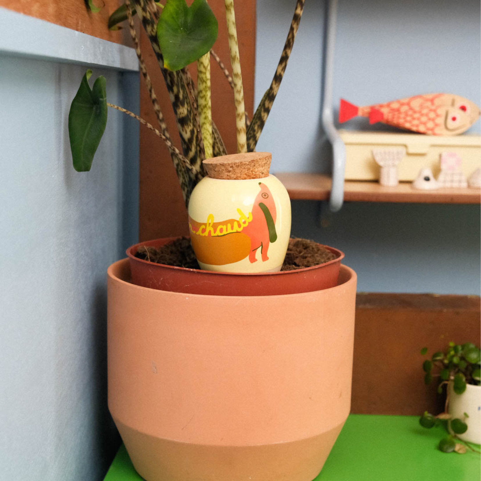 Olla - "Hot-dog" par Charlotte Janvier