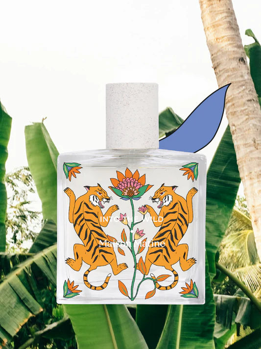 Parfum MAISON MATINE